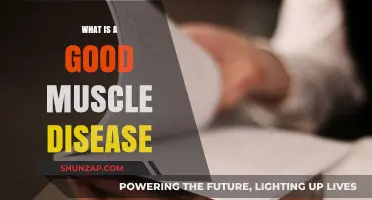 Understanding Muscle Diseases: A Guide to Symptoms and Treatments