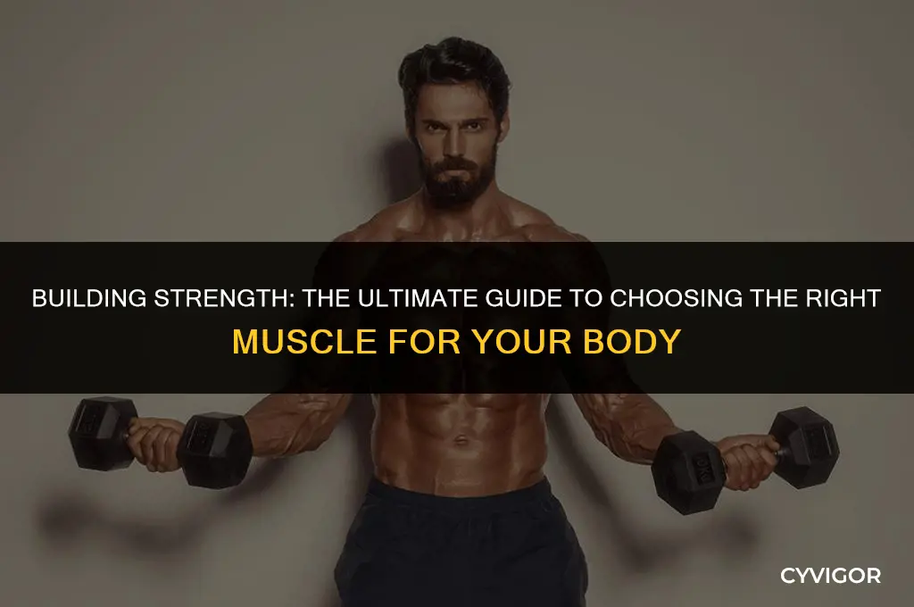what is a good muscle for your body