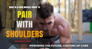 Effective Muscle Pairing for Shoulder Workouts: A Comprehensive Guide