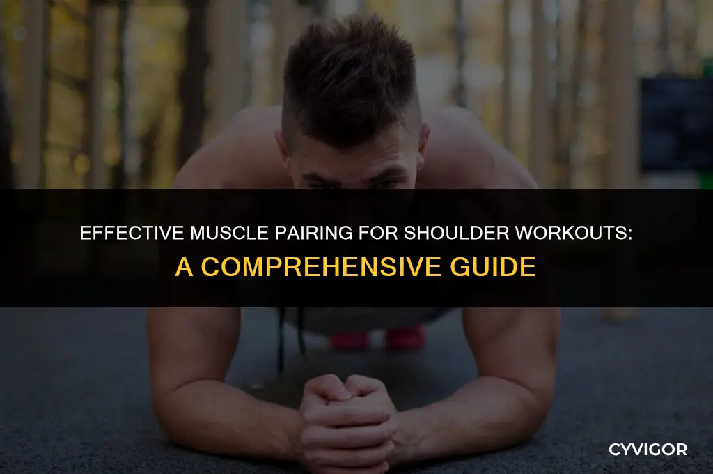 what is a good muscle group to pair with shoulders