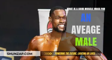 Optimal Muscle Mass for the Average Male: A Comprehensive Guide