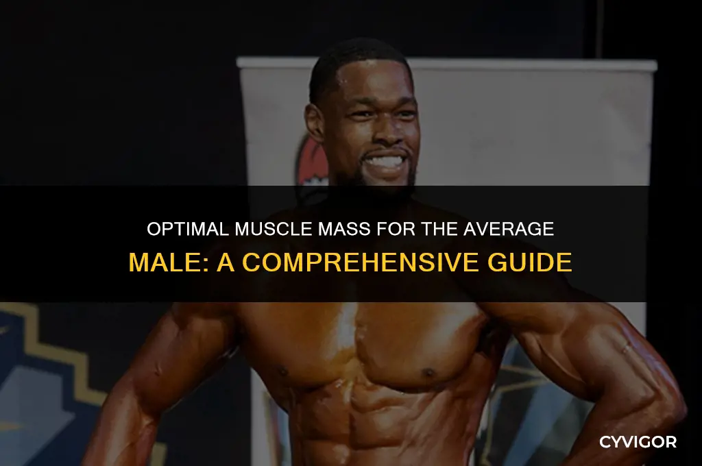 what is a good muscle mass for an aveage male