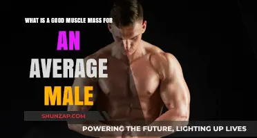Optimal Muscle Mass for the Average Male: A Comprehensive Guide