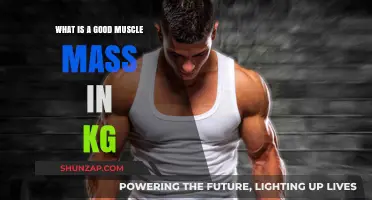 Optimal Muscle Mass: A Guide to Healthy Body Composition in Kilograms