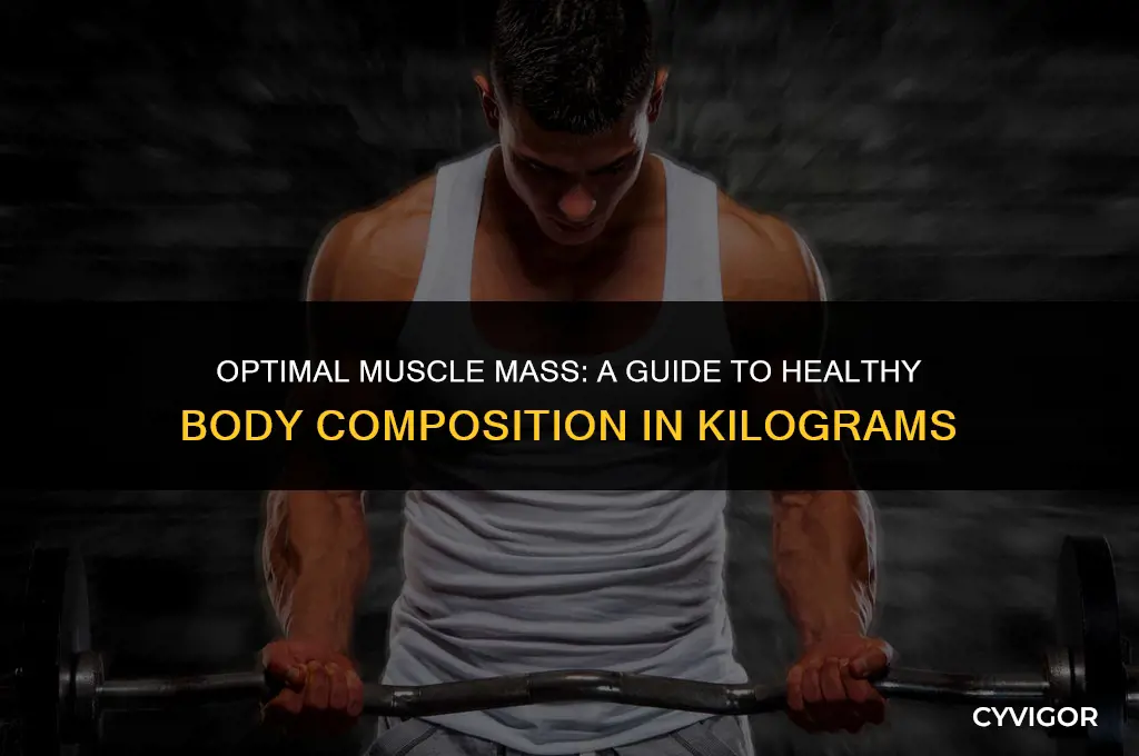 what is a good muscle mass in kg