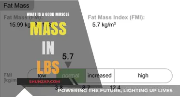 Building Strength: Understanding Ideal Muscle Mass in Pounds