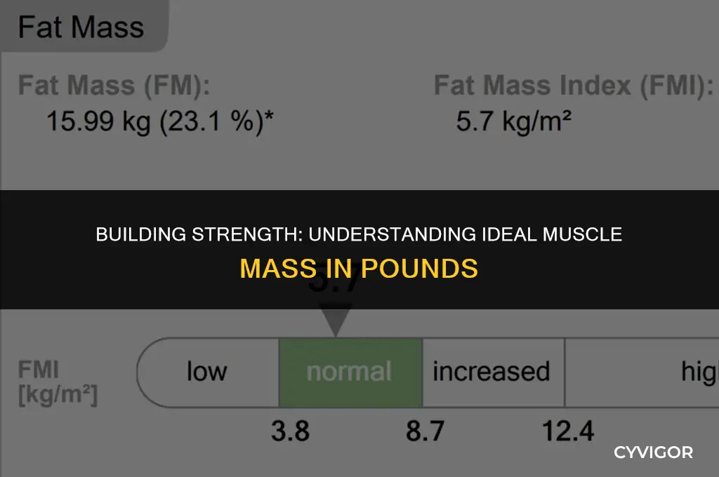 what is a good muscle mass in lbs