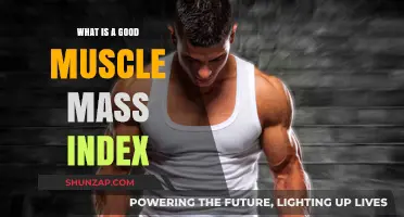 Optimal Muscle Mass Index: A Guide to Healthy Body Composition