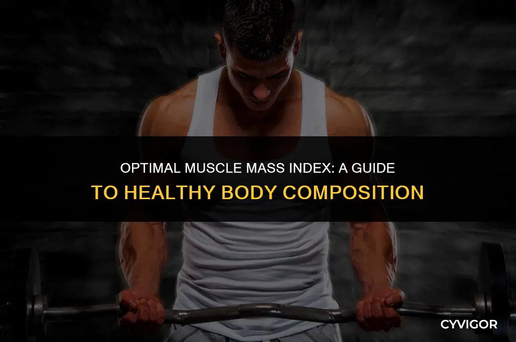 what is a good muscle mass index