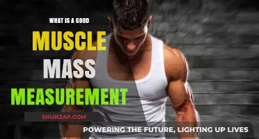 Optimal Muscle Mass: Understanding the Ideal Measurement for Your Body