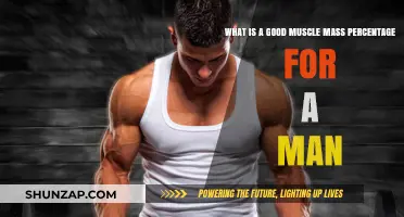 Optimal Muscle Mass Percentages for Men: A Comprehensive Guide
