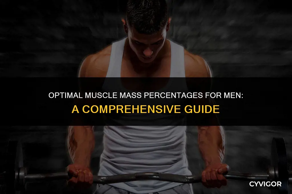 what is a good muscle mass percentage for a man