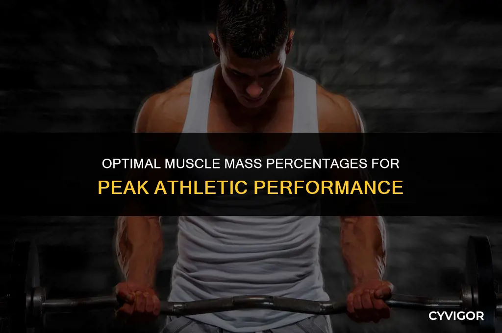 what is a good muscle mass percentage for an athlete