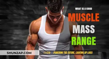 Optimal Muscle Mass: Understanding the Healthy Range for Your Body