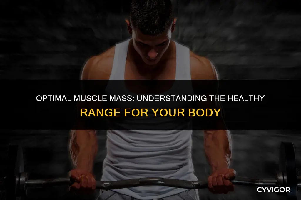 what is a good muscle mass range