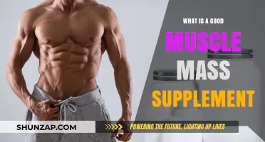 Unlock Your Fitness Goals: The Ultimate Guide to Muscle Mass Supplements