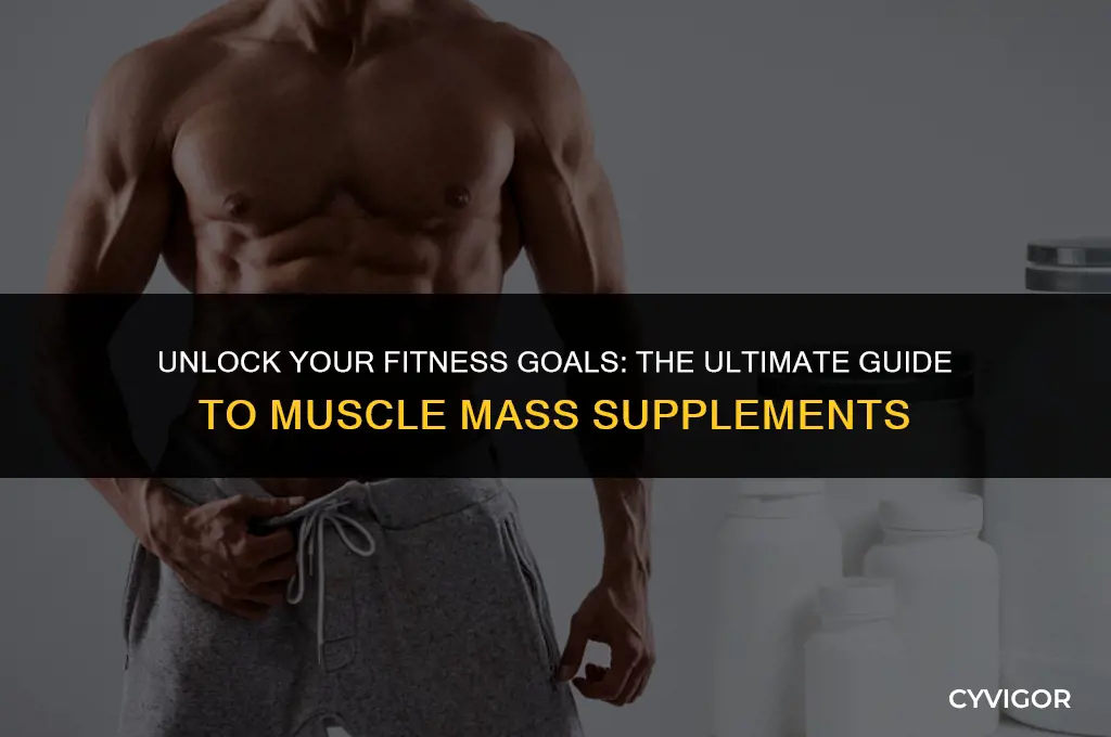 what is a good muscle mass supplement