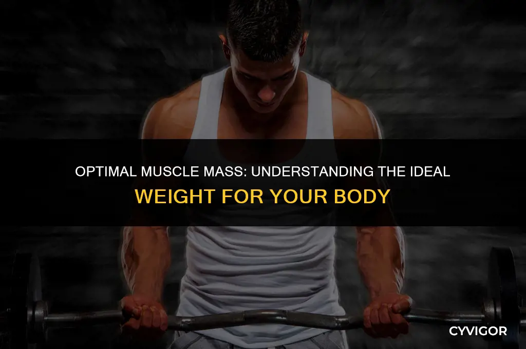 what is a good muscle mass weight