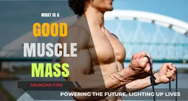 Understanding Optimal Muscle Mass: Benefits, Measurement, and Healthy Goals