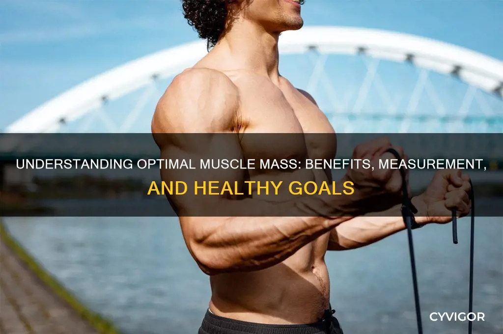 what is a good muscle mass