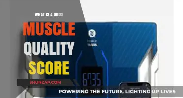 Understanding Muscle Quality Scores: A Guide to Optimal Health