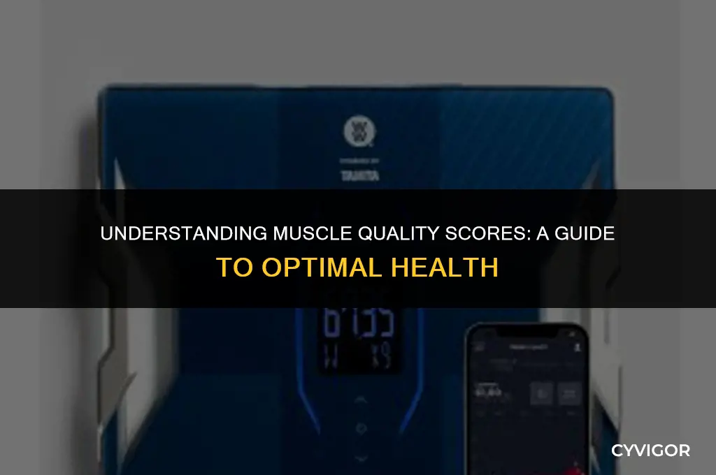 what is a good muscle quality score