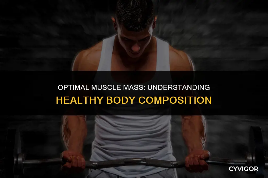 what is a good muscle rate percentage