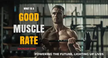 Optimal Muscle Growth Rate: A Comprehensive Guide