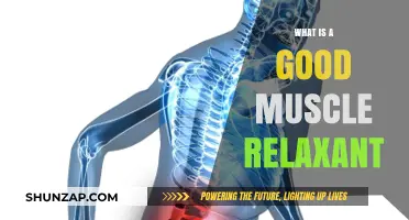 Effective Muscle Relaxants: Top Options for Pain Relief and Relaxation