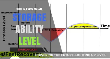 Unlocking Your Fitness Potential: The Ideal Muscle Storage Level