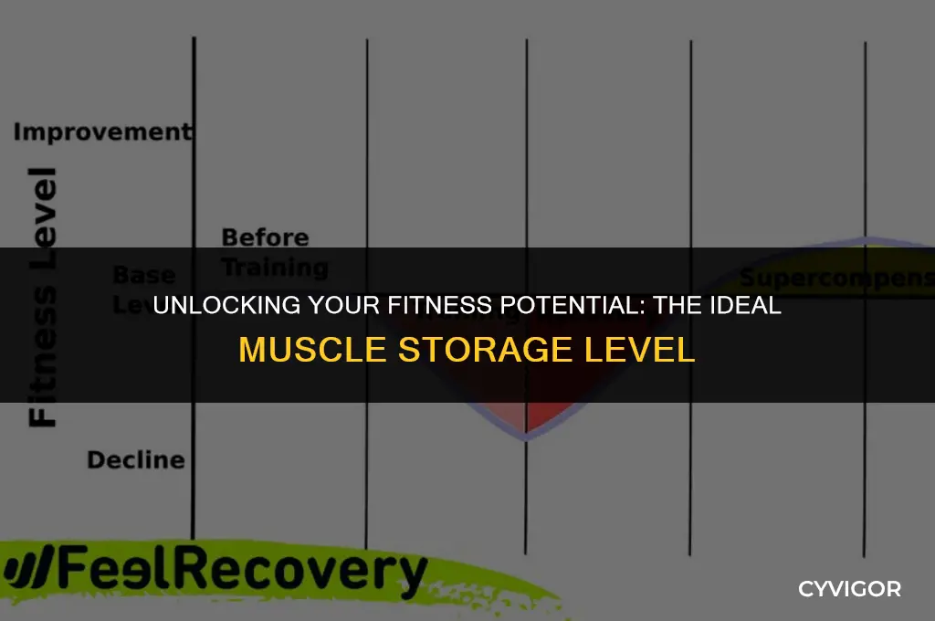 what is a good muscle storage ability level