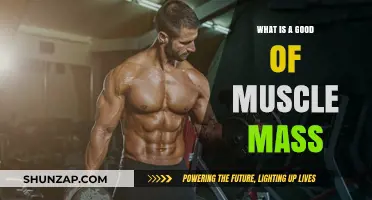 Building Strength: The Benefits of Gaining Muscle Mass