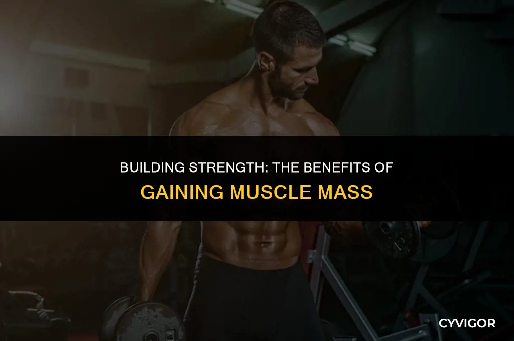 what is a good of muscle mass