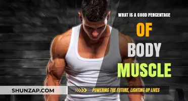 Optimal Muscle Mass: What Percentage is Right for You?
