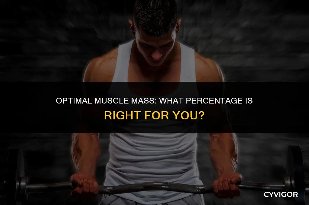 what is a good percentage of body muscle