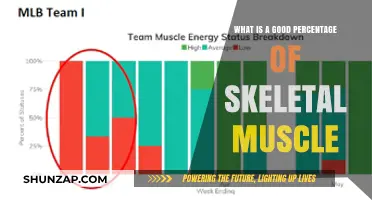 Optimal Skeletal Muscle Percentage: A Guide to Healthy Body Composition