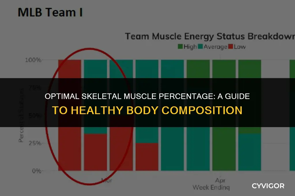 what is a good percentage of skeletal muscle