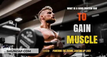 Top Muscle-Building Protein Bars for Effective Mass Gain