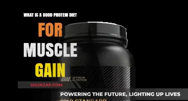 Effective Protein Diet Strategies for Optimal Muscle Gain and Growth