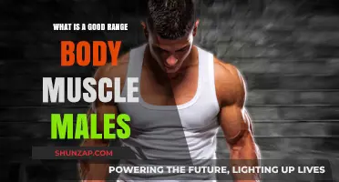 Optimal Body Muscle Range for Males: A Comprehensive Guide