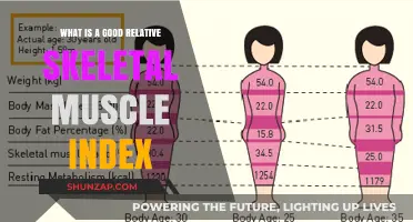 Understanding the Ideal Relative Skeletal Muscle Index for Optimal Health