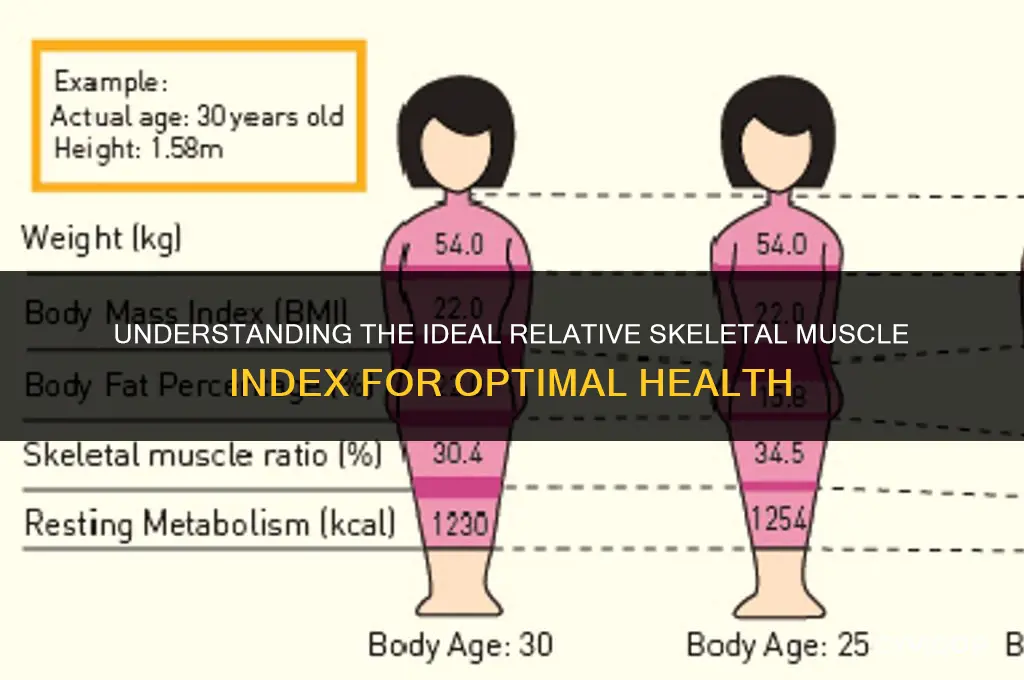 what is a good relative skeletal muscle index