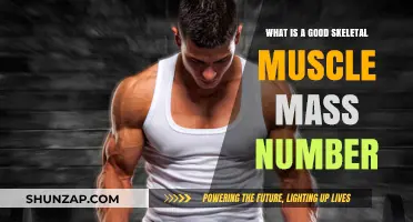 Understanding Optimal Skeletal Muscle Mass: A Comprehensive Guide