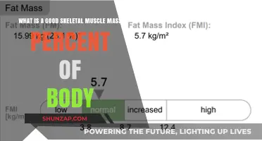 Optimal Skeletal Muscle Mass: What Percentage of Your Body Weight is Ideal?