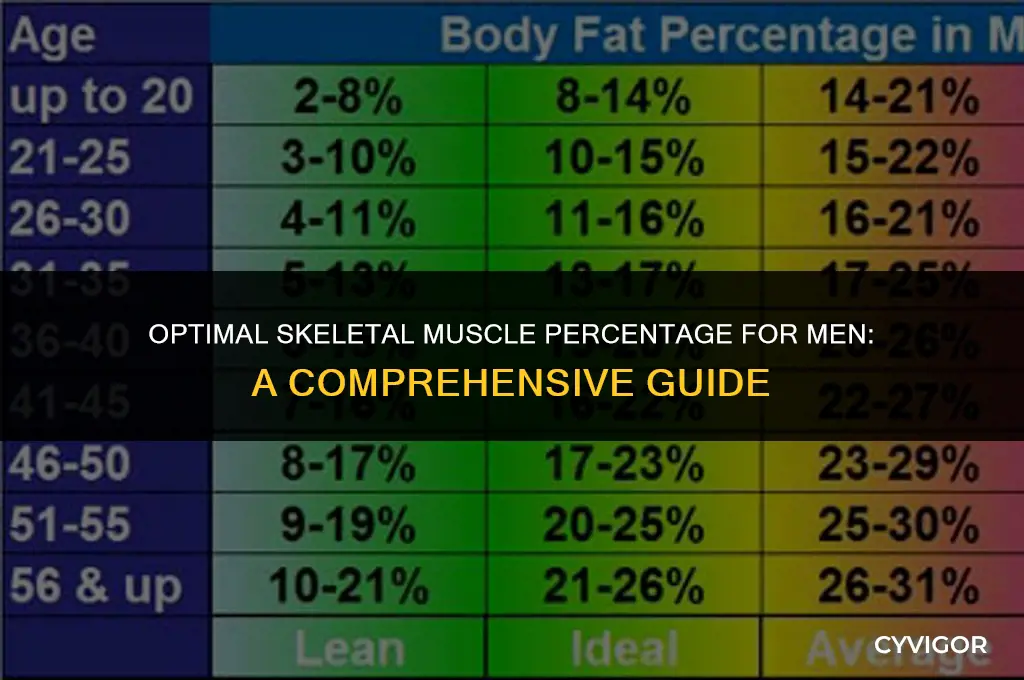 what is a good skeletal muscle percentage for a man