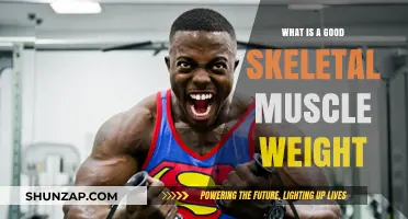 Optimal Skeletal Muscle Weight: A Comprehensive Guide for Fitness Enthusiasts