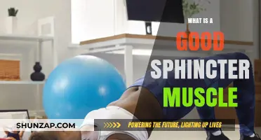 Strengthening Your Sphincter: A Guide to Optimal Pelvic Health