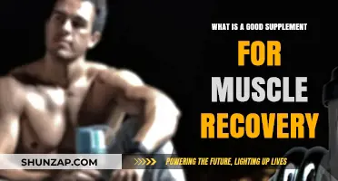 Boost Your Muscle Recovery: Top Supplements for Fitness Enthusiasts