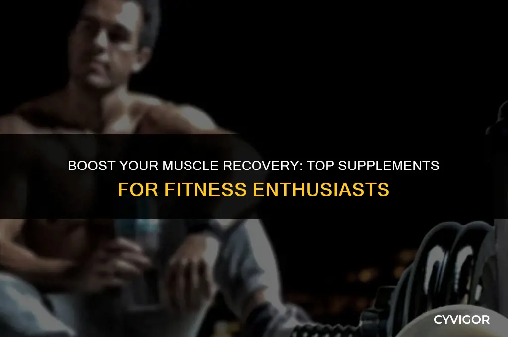 what is a good supplement for muscle recovery