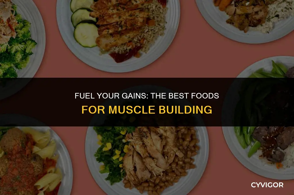 what is a good type of food for muscle